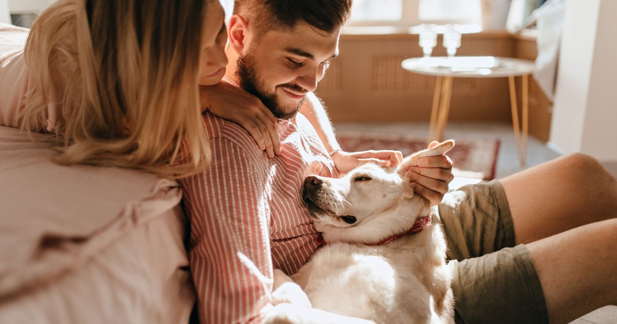 Projeto prevÃª que animais possam ser sepultados em jazigos familiares ou posteriormente exumad...