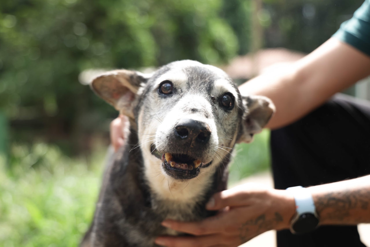 Prefeitura Municipal De São José