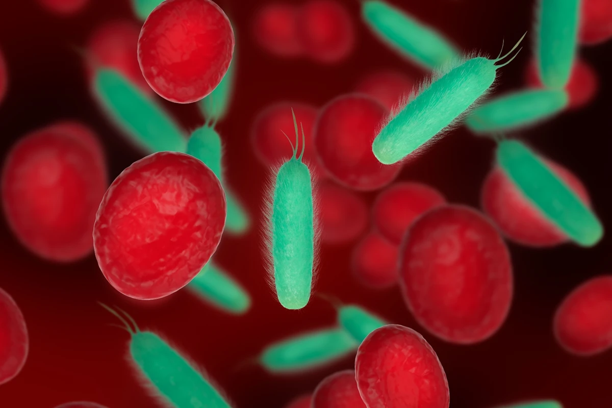 1 de 1 Ilustração mostra células vermelhas do sangue acompanhadas de céulas verdes estranhas ...