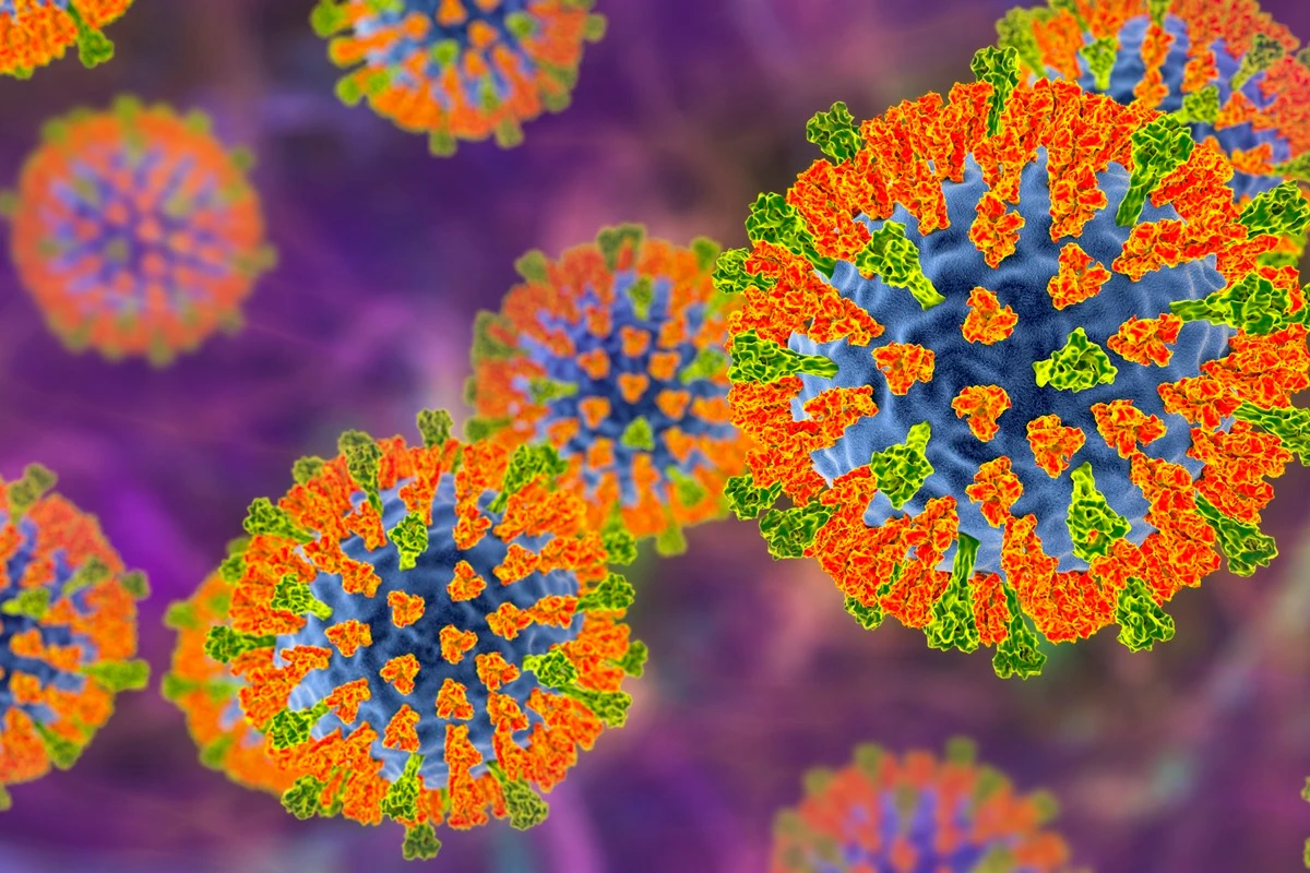 Ilustração da partícula do vírus do sarampo. Este vírus, do grupo Morbillivirus, consiste em...