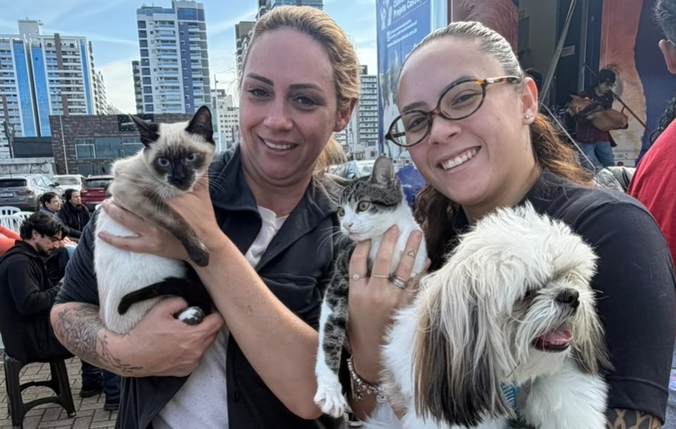 São José inicia maior mutirão de castração animal da história com atendimento organizado e ...