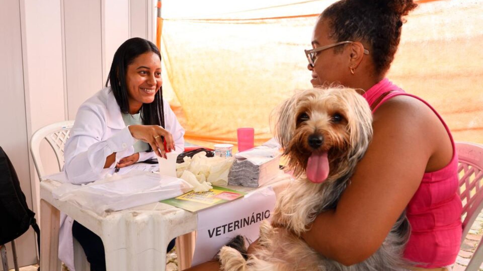 Feira da Freguesia terá atendimento gratuito para moradores e pets neste domingo – Prefeitura ...