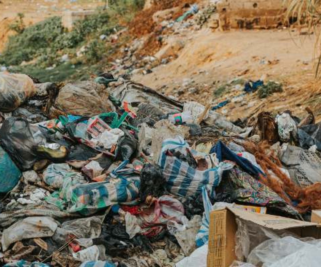 Sumário:FecharSão José em OrdemMulta por descarte irregular de lixoO que descartar na coleta r...