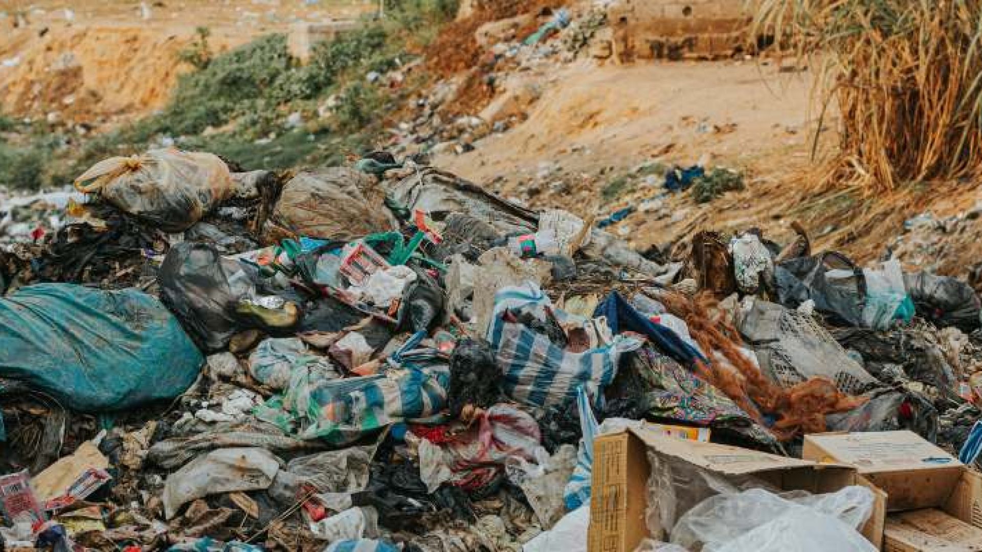 Sumário:FecharSão José em OrdemMulta por descarte irregular de lixoO que descartar na coleta r...