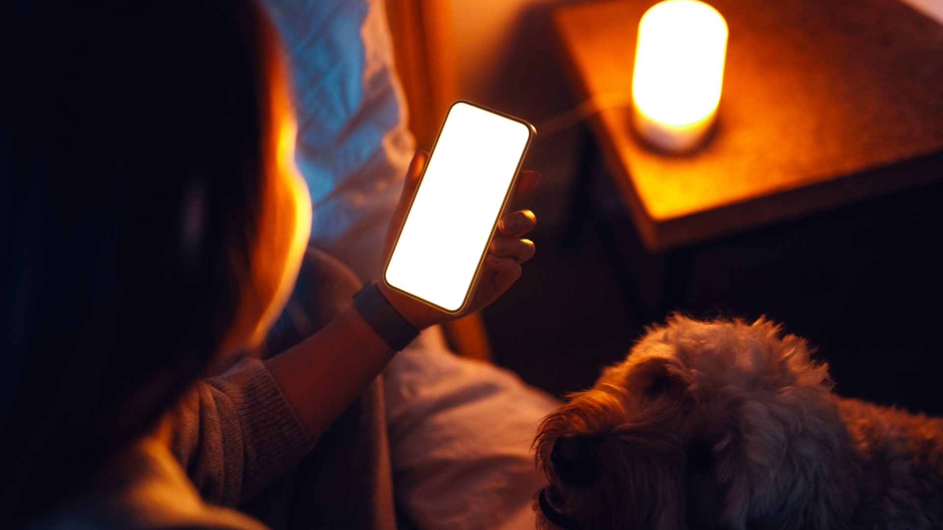 1 de 1 mulher mexendo no celular ao lado de cachorro - Foto: Oscar Wong/Getty Images