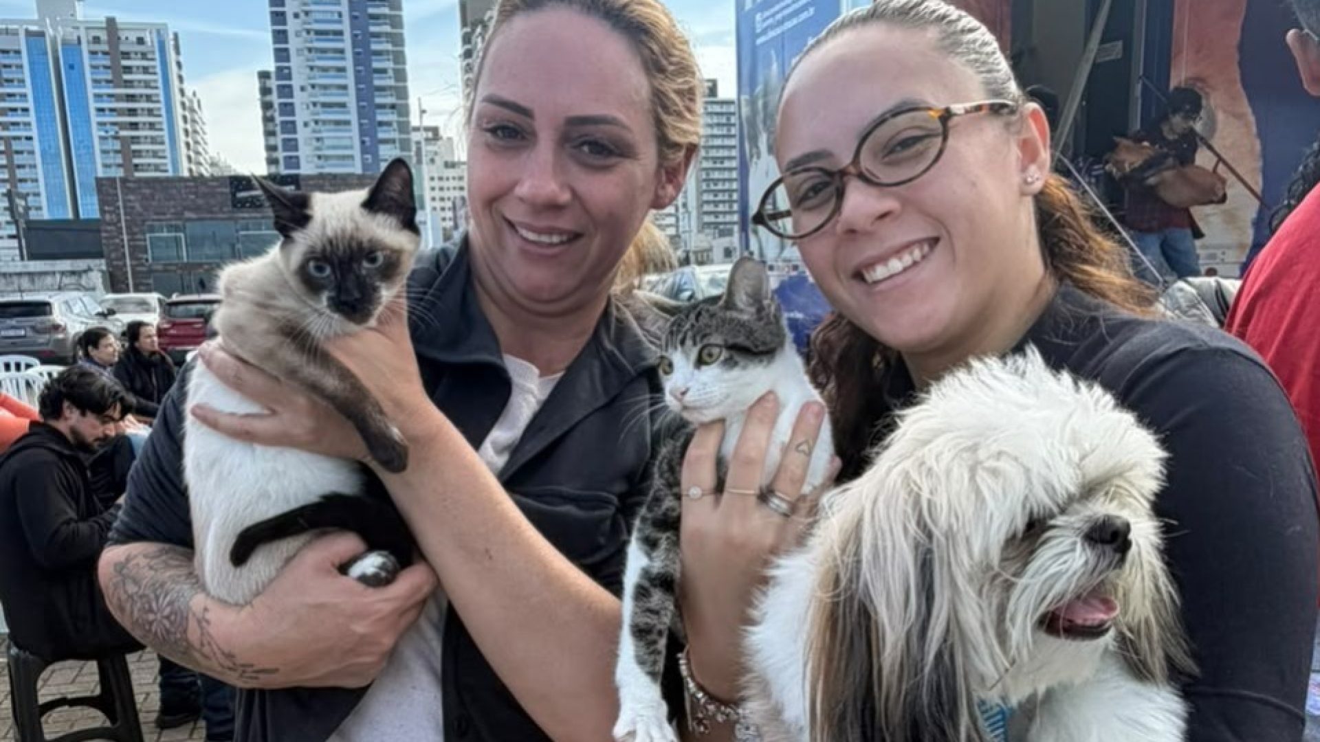 São José inicia maior mutirão de castração animal da história com atendimento organizado e ...