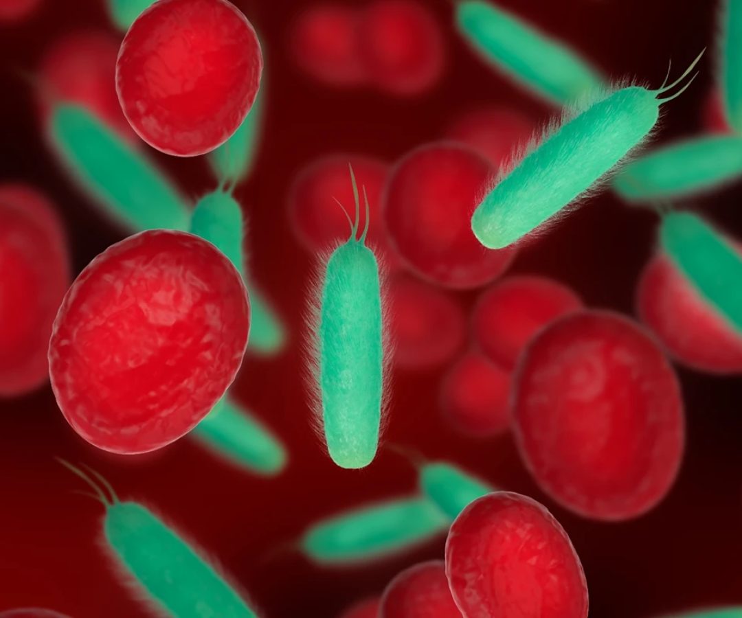 1 de 1 Ilustração mostra células vermelhas do sangue acompanhadas de céulas verdes estranhas ...