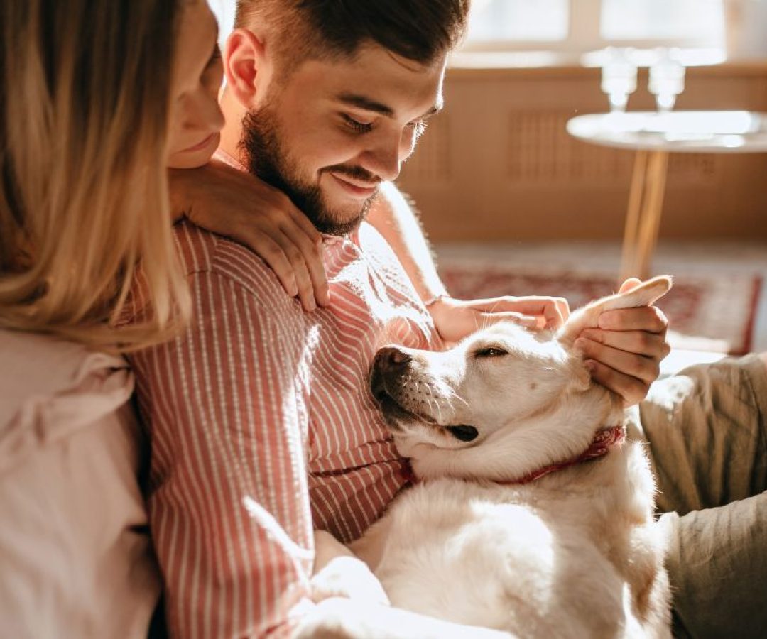 Projeto prevÃª que animais possam ser sepultados em jazigos familiares ou posteriormente exumad...