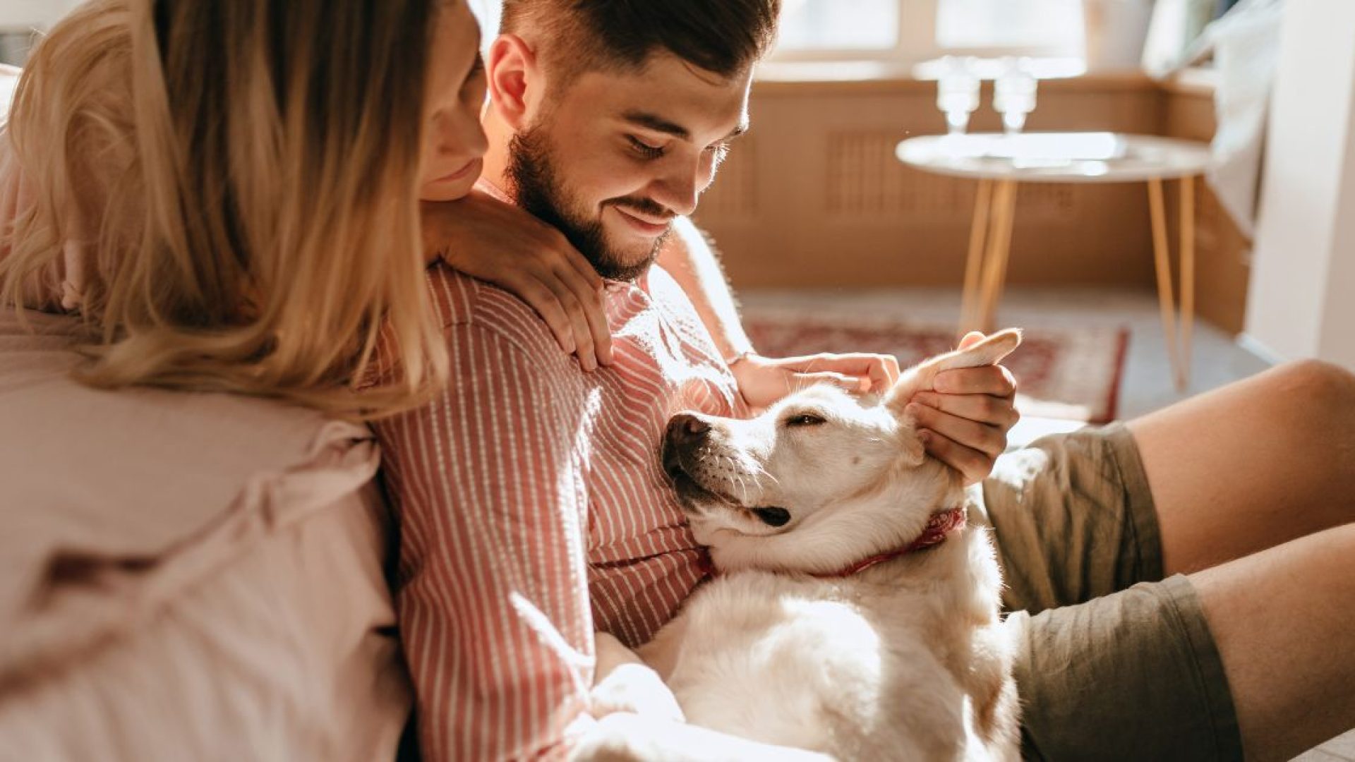 Projeto prevÃª que animais possam ser sepultados em jazigos familiares ou posteriormente exumad...