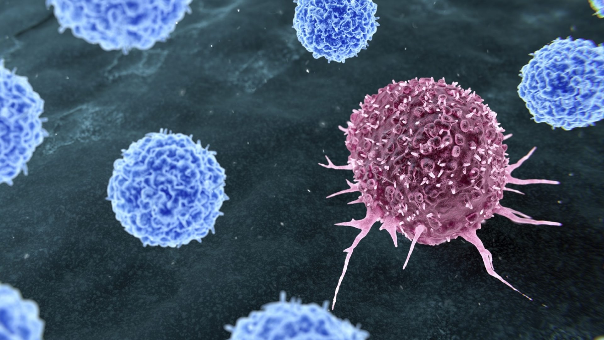 1 de 1 Ilustração representando a terapia com linfócitos infiltrantes de tumor (TIL) para o tr...