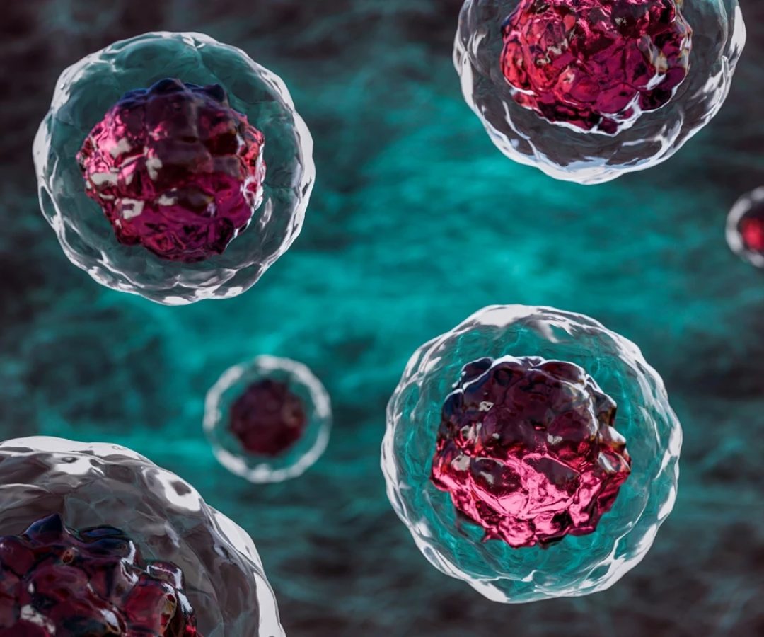 1 de 1 Imagem em close-up de várias células humanas circulando pelas veias. Matéria-prima do c...