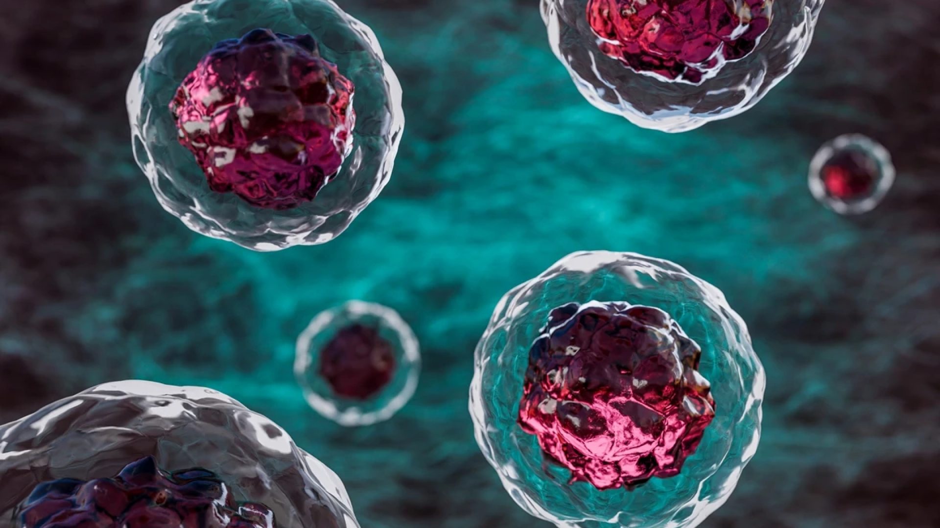 1 de 1 Imagem em close-up de várias células humanas circulando pelas veias. Matéria-prima do c...