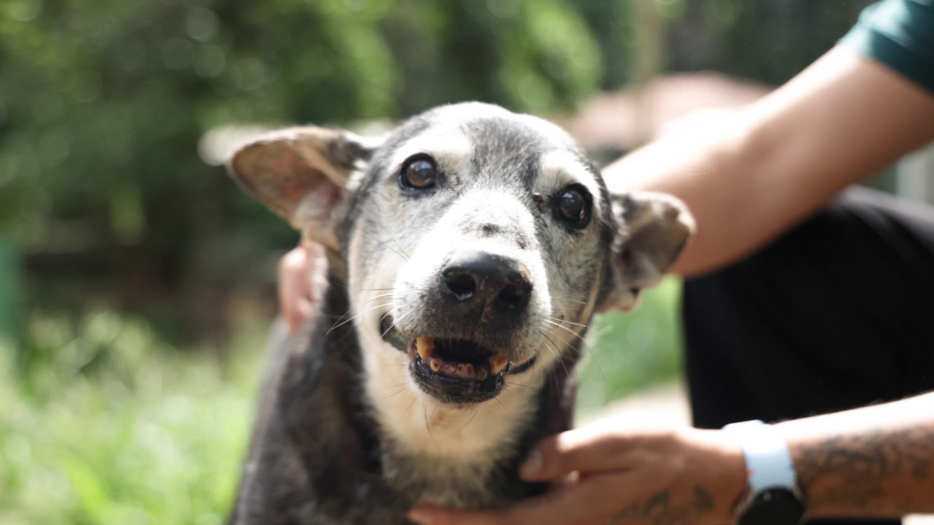 Prefeitura Municipal De São José