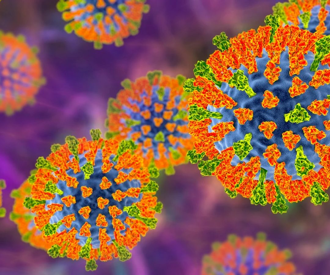 Ilustração da partícula do vírus do sarampo. Este vírus, do grupo Morbillivirus, consiste em...