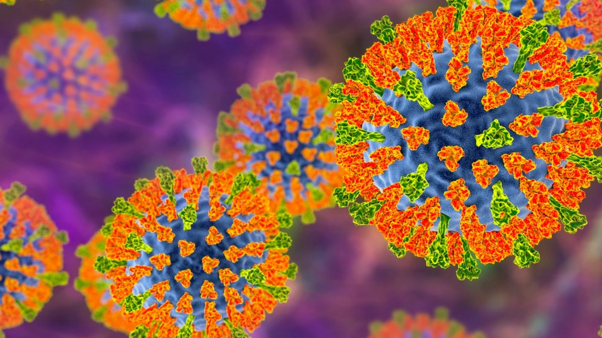 Ilustração da partícula do vírus do sarampo. Este vírus, do grupo Morbillivirus, consiste em...