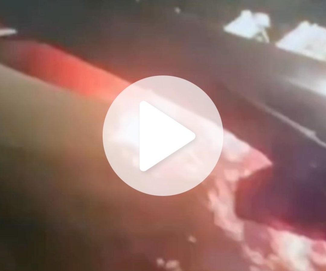 ReproduÃ§Ã£o/ND Mais